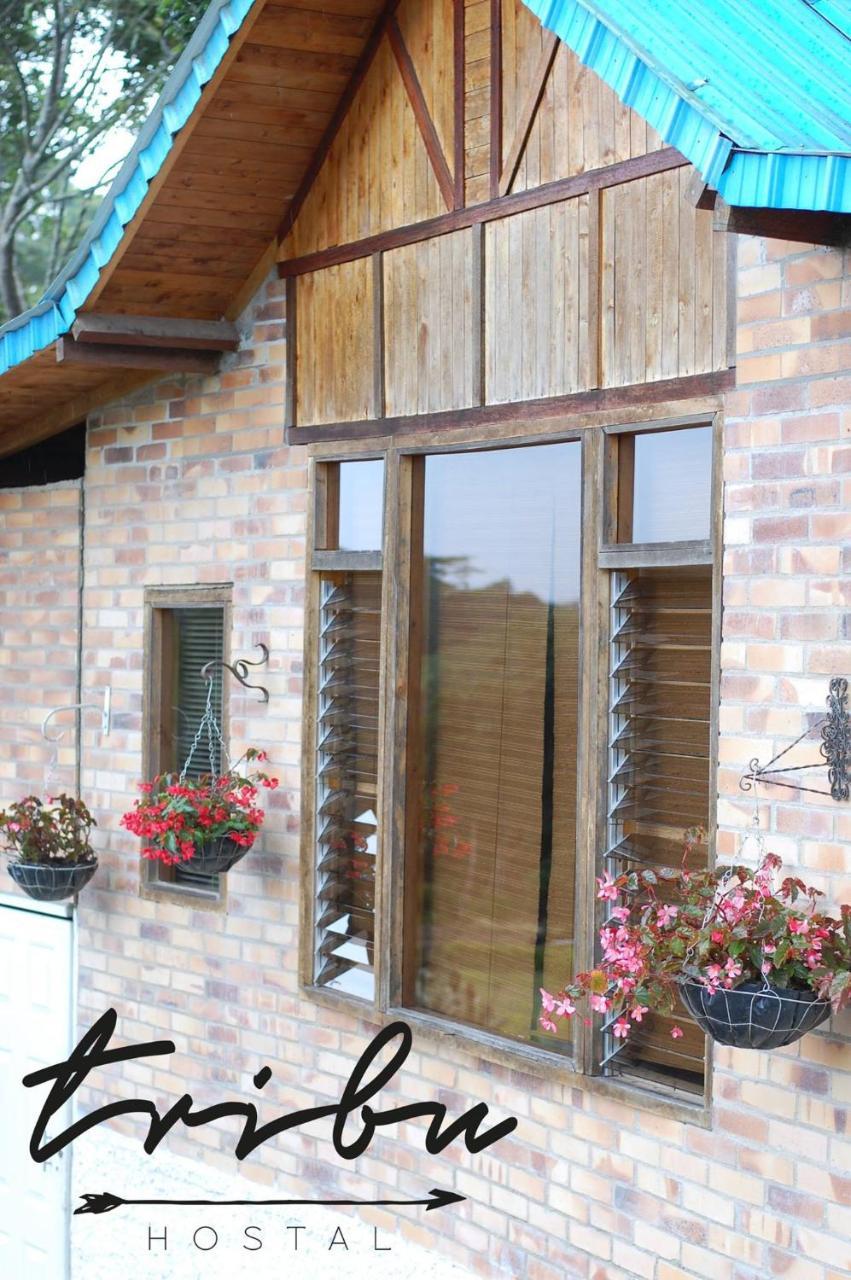 Tribu Ecohostal Los Santos  Exterior foto