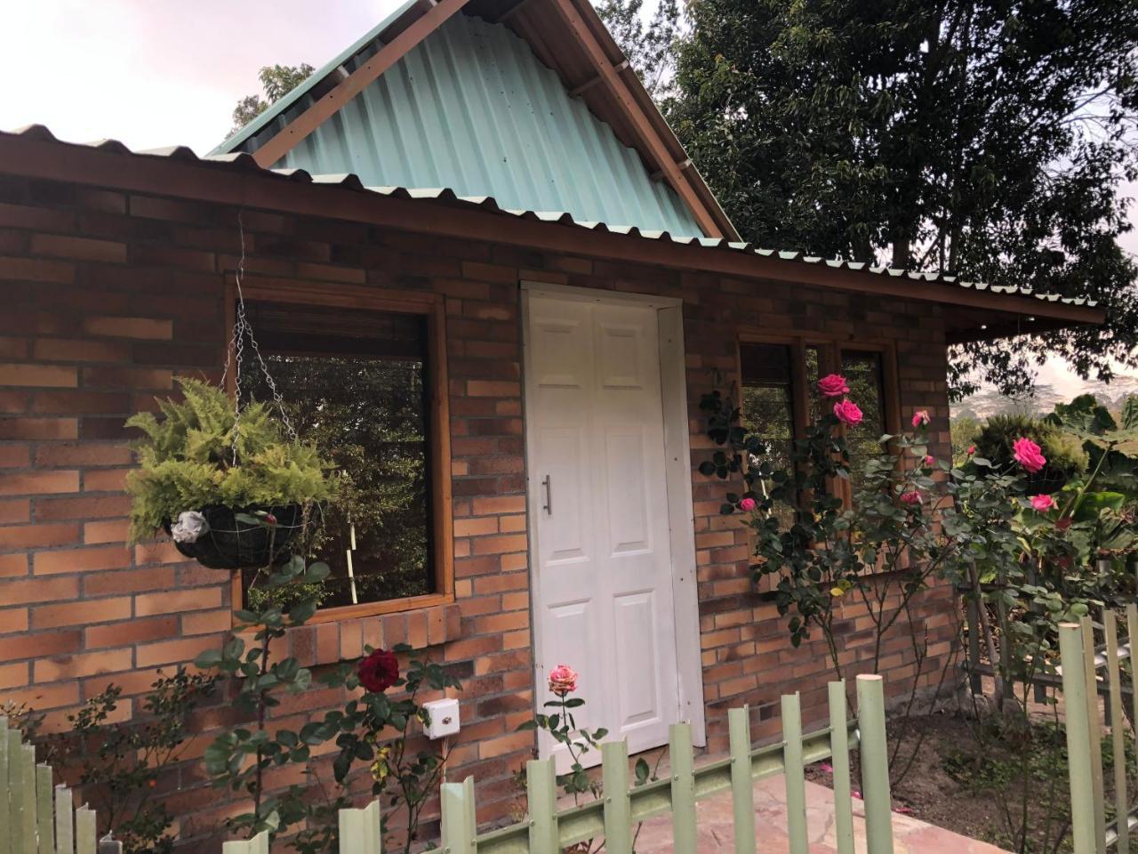 Tribu Ecohostal Los Santos  Exterior foto
